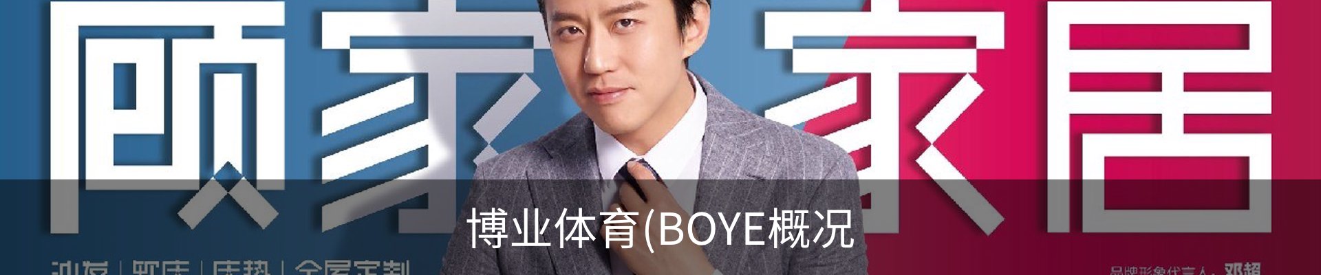 博业体育(BOYE概况