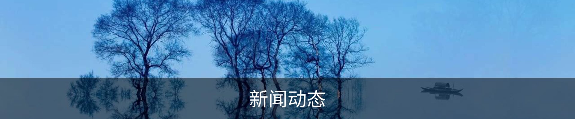 新闻动态